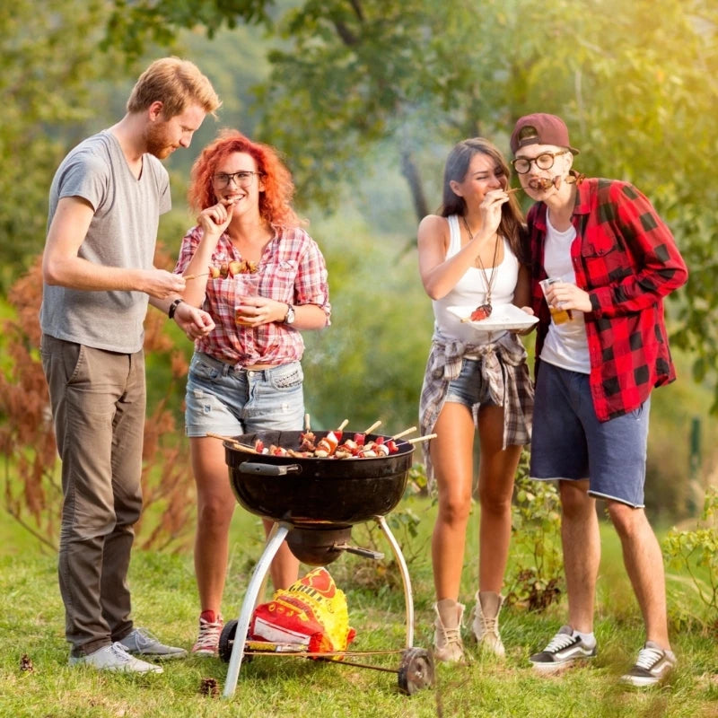 Electric Grills Scrubber